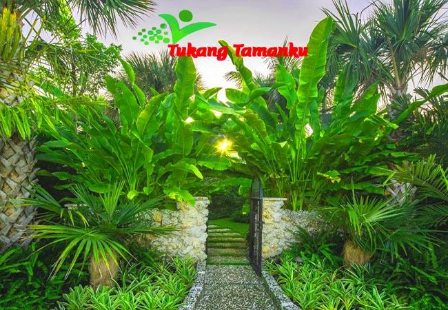tukang taman jakarta