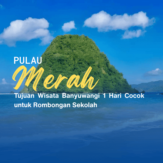 Tujuan Wisata Banyuwangi 1 Hari Cocok untuk Rombongan Sekolah